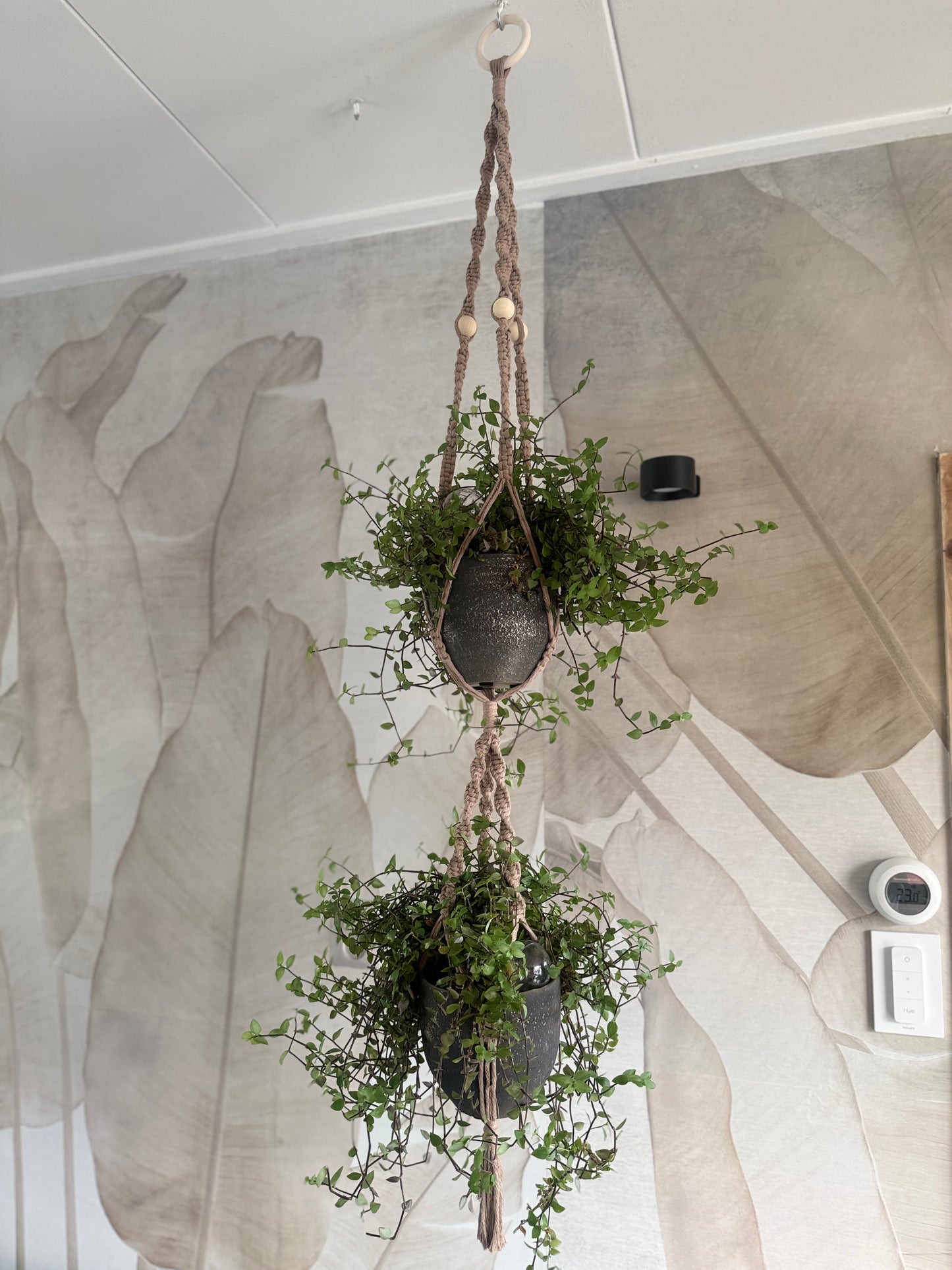 Macrame Dubbele Plantenhanger