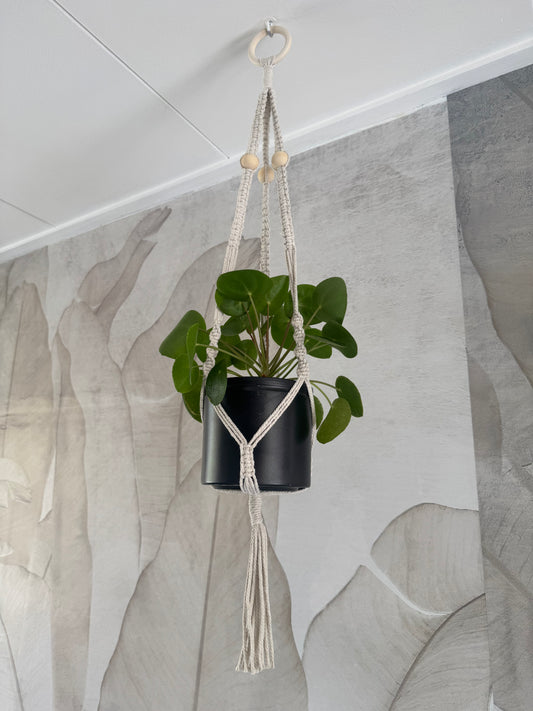 Macrame Planthanger