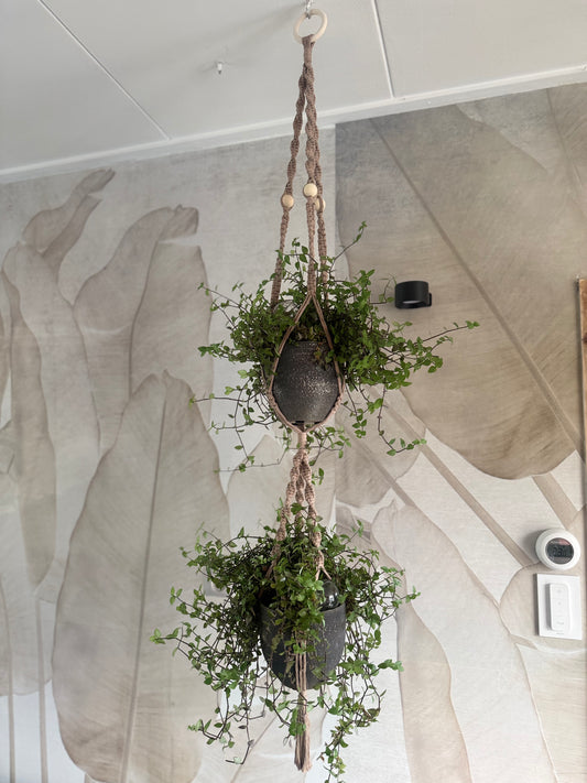 Macrame Dubbele Plantenhanger